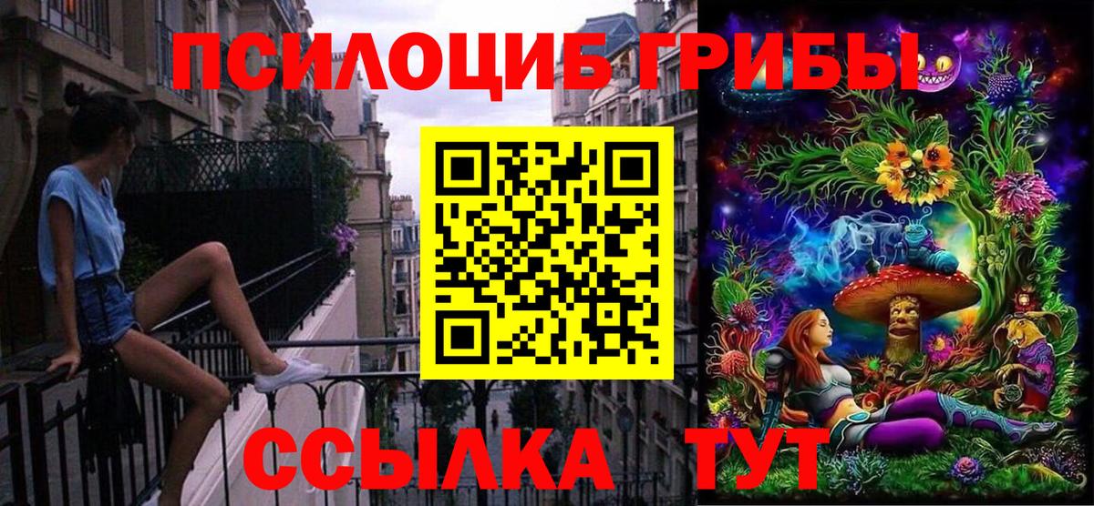где купить наркотик  Вход с VPN  Лангепас  Псилоцибиновые грибы мицелий 